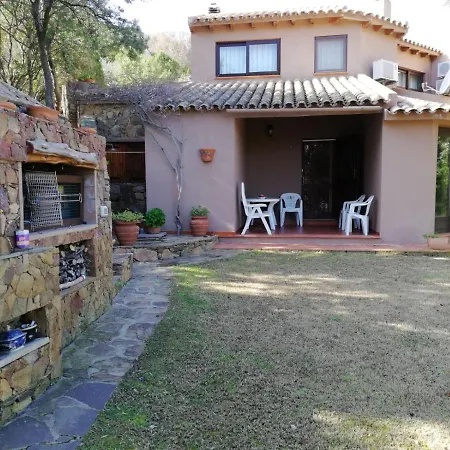 Alice E Silvia -