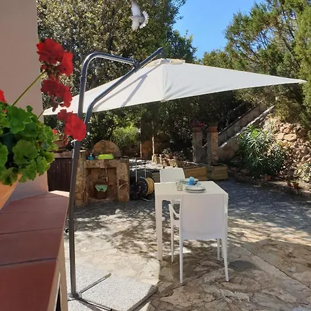 Alice E Silvia - Apartment